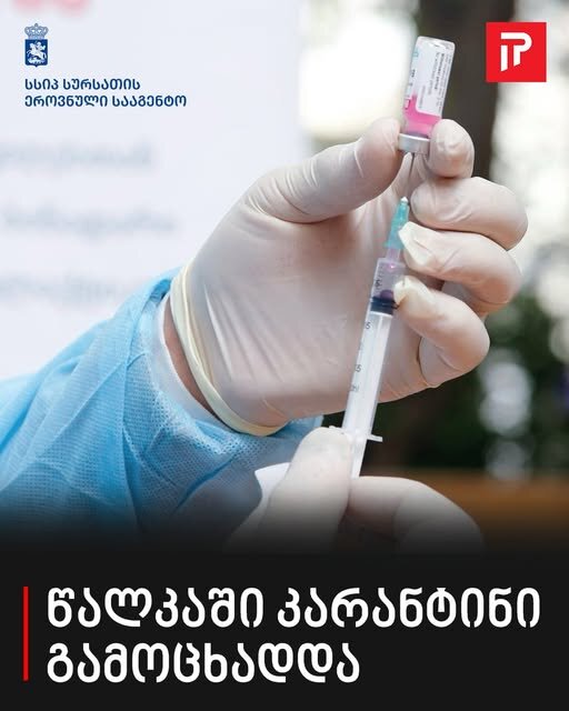 წალკაში კარანტინი გამოცხადდა